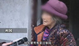 牛爱芳邻居爆料视频,牛爱芳事件视频曝光，真相令人震惊